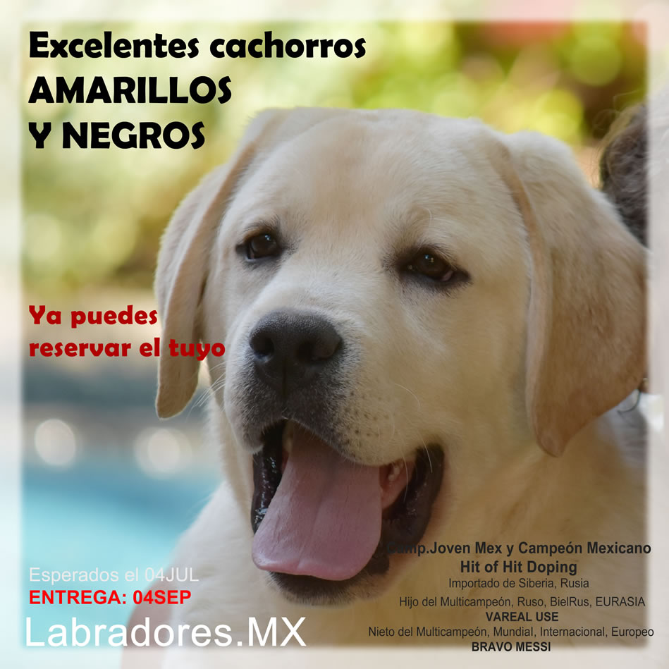 Ver m&aacute;s info