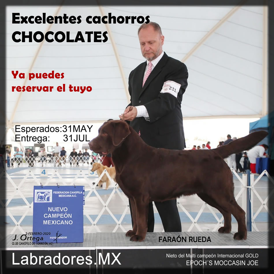 Ver m&aacute;s info
